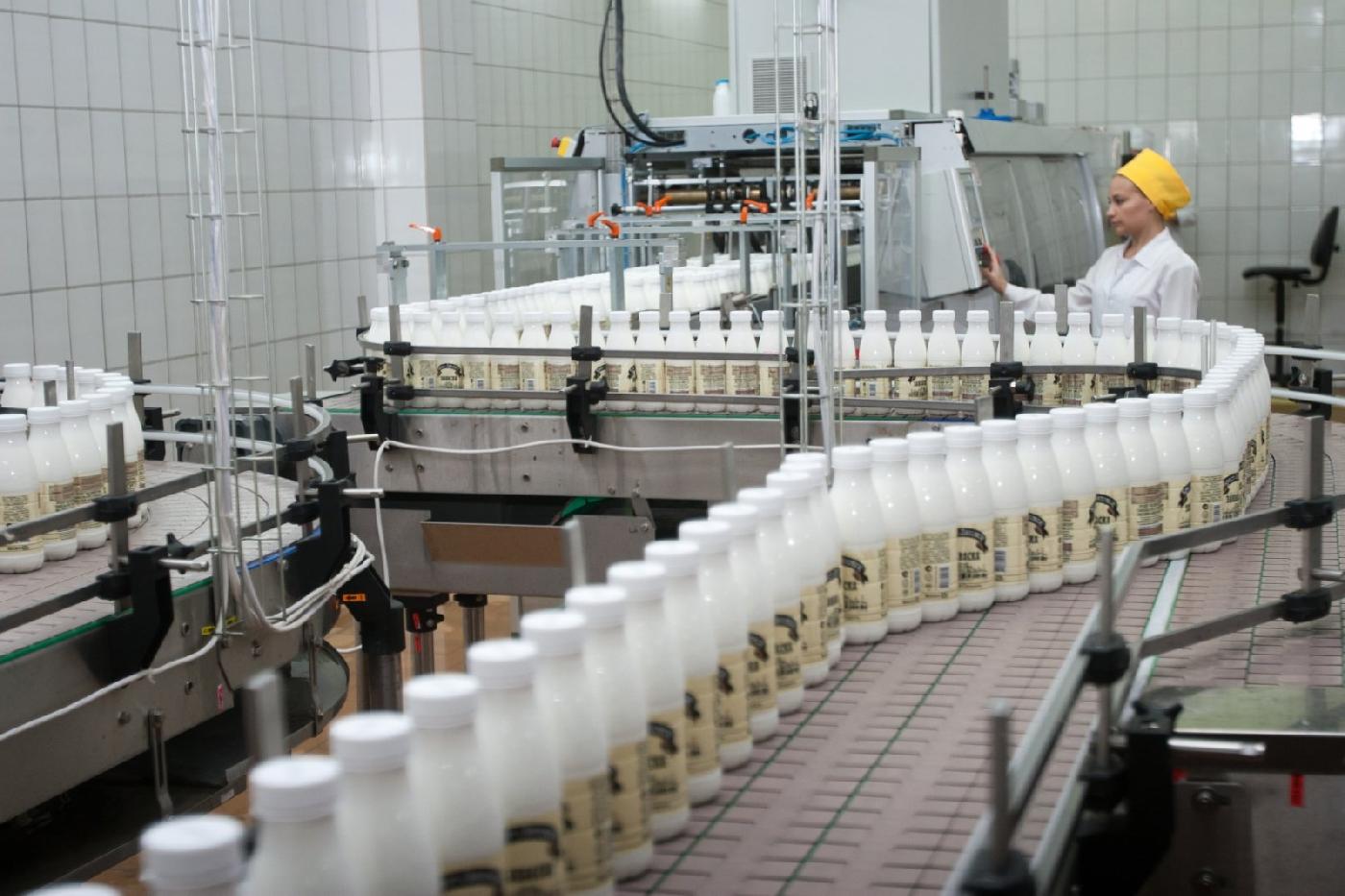 Ведущее производство молочной продукции