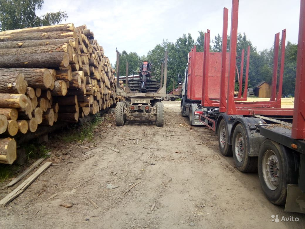 Налаженное лесопильное производство в пригороде